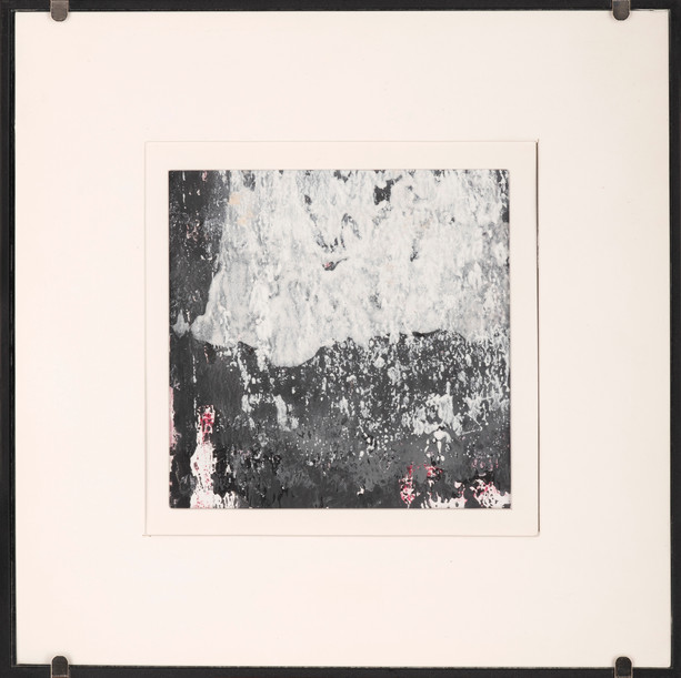 Jan Kamenicek_DSC8311.jpg